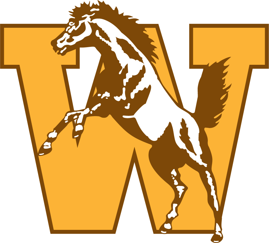 Western Michigan Broncos 1994-1998 Primary Logo diy DTF decal sticker